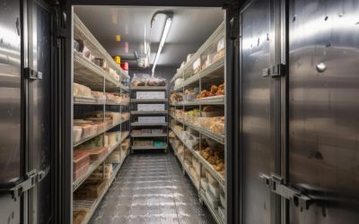 How to Extend the Life of Your Walk-In Cooler Door Gasket?